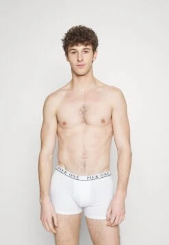 Pier One 5 PACK - Panties - White/pink/light Blue 9 Pier One 5 PACK - Panties - White/pink/light Blue -Pier One 3721024dbc554890a6059d1e8168907f