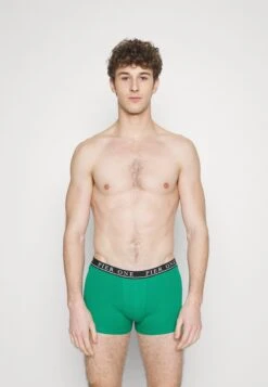 Pier One 5 PACK - Panties - Light Grey/black/green 8 Pier One 5 PACK - Panties - Light Grey/black/green -Pier One 848816986ca24fbcb5e57aec8f8eb96c