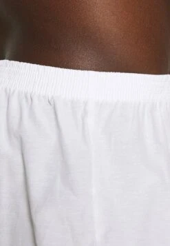 Pier One 5 PACK - Boxershorts - Light Blue/white 11 Pier One 5 PACK - Boxershorts - Light Blue/white -Pier One 8e2664e226c041628a342c1ad591e54d