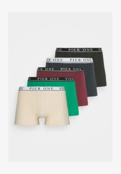 Pier One 5 PACK - Panties - Beige/green/bordeaux 10 Pier One 5 PACK - Panties - Beige/green/bordeaux -Pier One bc7bad60932445cabd41ffd20695bb0b